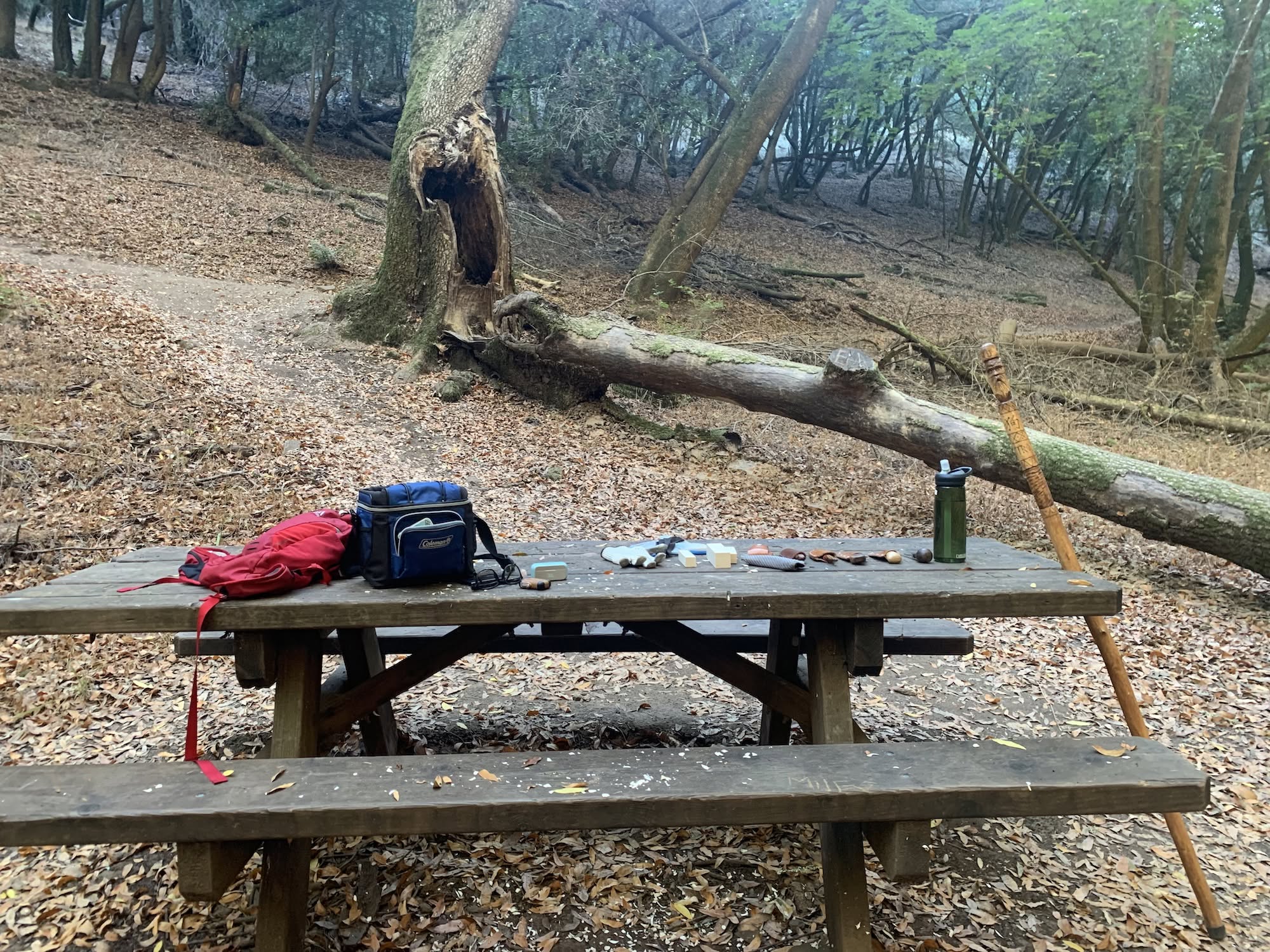 An outdoor carving spot at a picnic table surrounded by trees